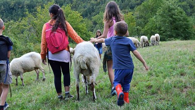 Pastorizia, progetto per bimbi con fragilità a Fornovo