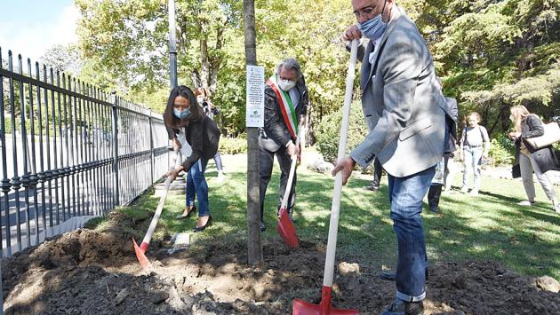 Dalla Regione un albero gratis per ogni abitante. Dal 1° ottobre si può andare a ritirarli nei vivai accreditati