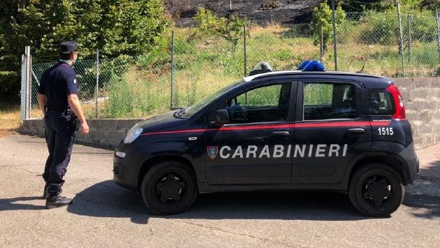 Langhirano, trovato un teschio nel bosco
