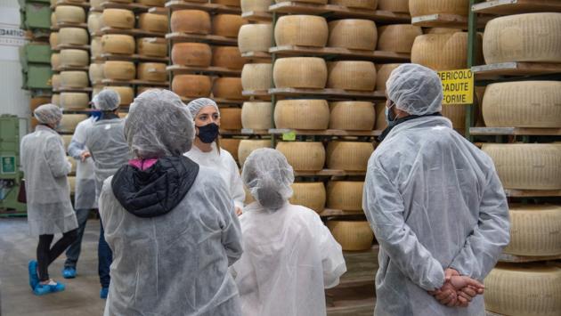 Caseifici aperti, un viaggio "dentro" una forma di Parmigiano Reggiano