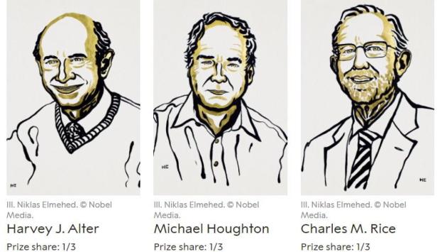 Il Nobel per la Medicina a tre virologi per studi sull'Epatite C
