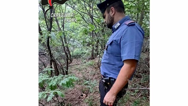 Il teschio nel bosco: la procura nomina un consulente. Si riaprono casi degli scomparsi