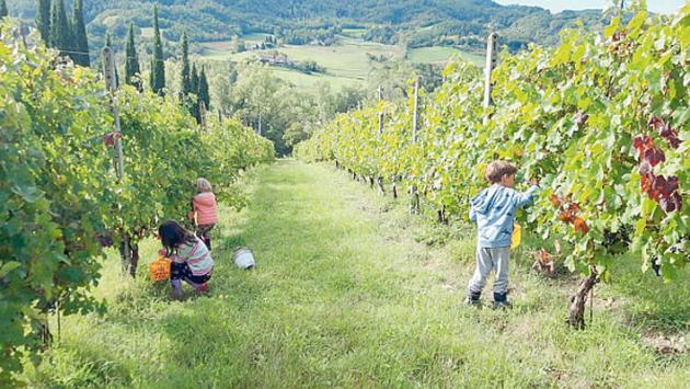 Vini di Vignaioli, l'emergenza sanitaria fa saltare la rassegna