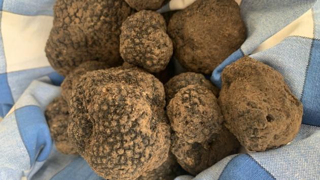 Bedonia, annullata la fiera del tartufo
