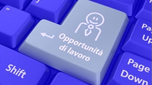 11 opportunità per chi cerca lavoro