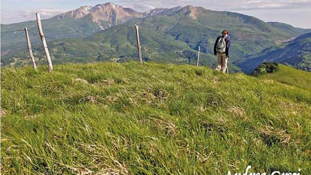 Volumi sui Cammini storici:  in edicola «La via di Linari»