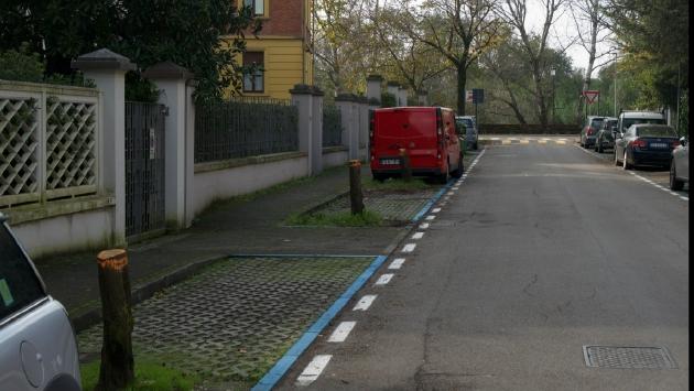 Motoseghe in azione in via Villa: scatta la protesta dei residenti
