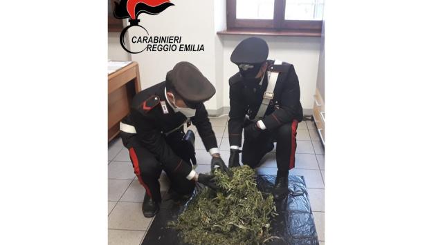 Nel sottotetto condominiale l'essiccatoio della marjuana: 17enne denunciato