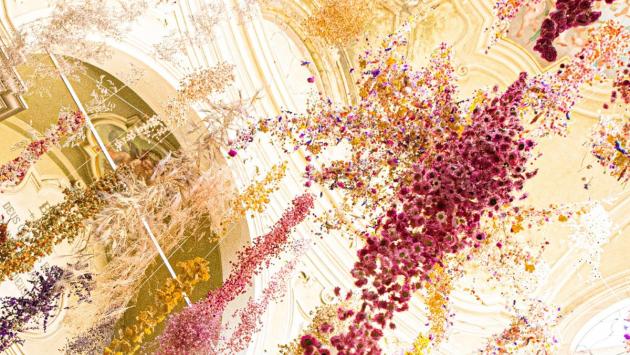 Chiude momentaneamente la mostra “Florilegium” di Rebecca Louise Law 