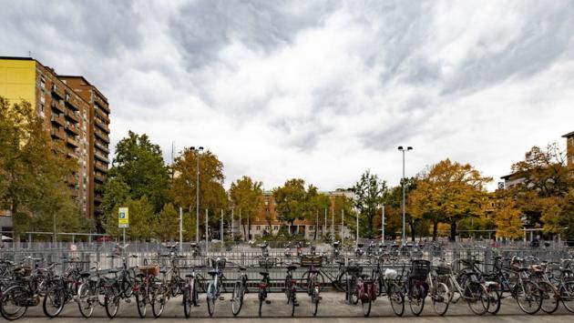 La bici rubata e la lunga indagine del cittadino investigatore