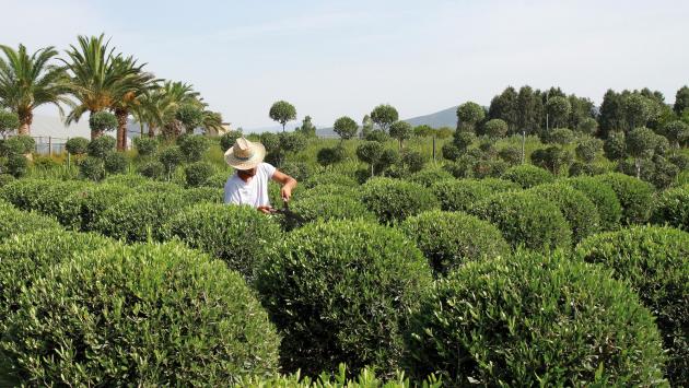 KilometroVerdeParma: Giorgio Tesi Group diventa socio sostenitore