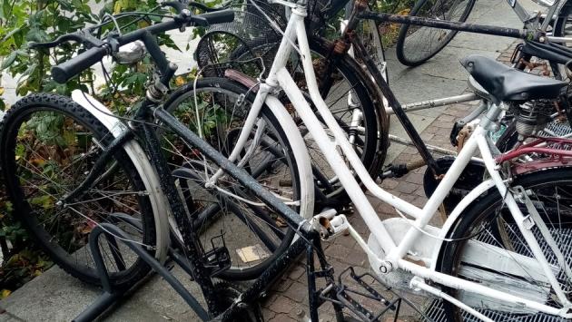 Ancora furti di bici: erano chiuse con catene