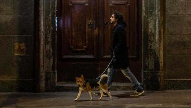 Ma dopo le 22 posso portare fuori il cane? Attenzione, solo sotto casa