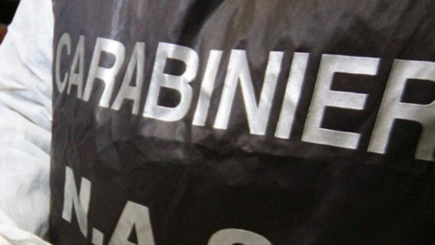 I Nas di Parma sequestrano un quintale di alimenti scaduti  in un supermercato della Bassa reggiana