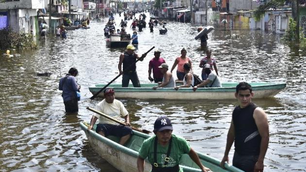 Messico: inondazioni, in Tabasco coccodrilli invadono città
