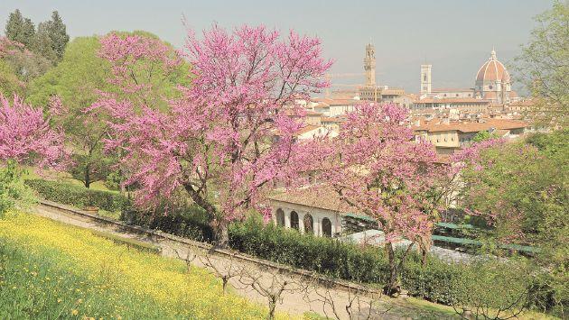 Poesia sull'Arno