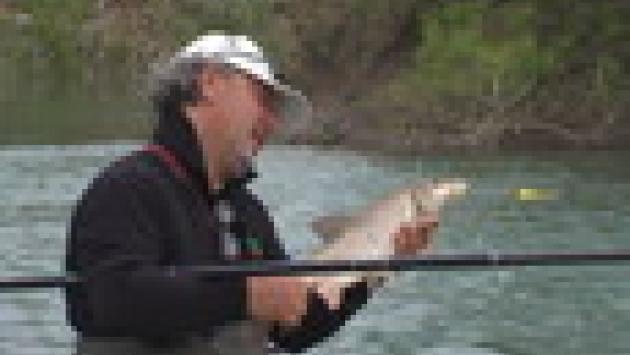A Pesca con Afro
