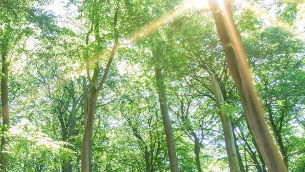 Anche il comune di Parma (unico in Regione) è stato premiato con la Spiga verde