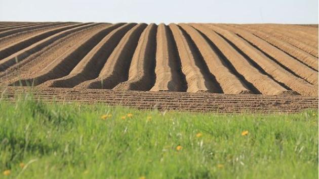 Per Nestlé obiettivo zero emissioni entro il 2050
