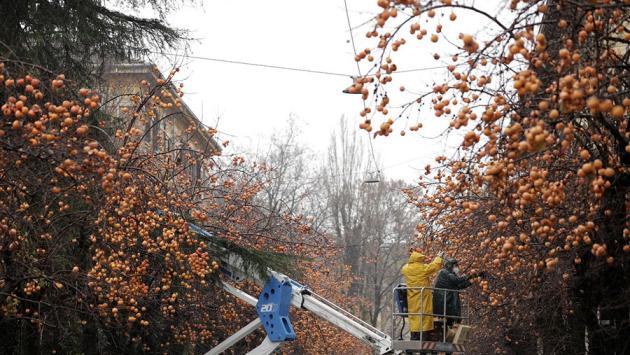 Appuntamenti di oggi, sabato 23 novembre, in città e provincia