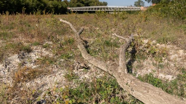 Il Comitato alluvionati: «Il Baganza va pulito, abbiamo paura ogni volta che piove»