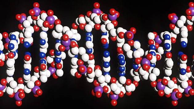 Creato  nuovo dna: un passo verso la vita artificiale  