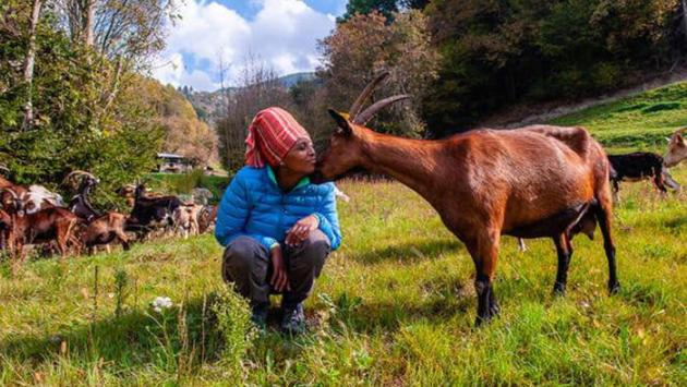 L'uccisione di Agitu Gudeta: un suo collaboratore confessa