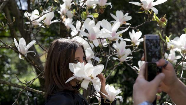 Oggi e domani apertura straordinaria dell'Orto Botanico per le "violette di Maria Luigia"