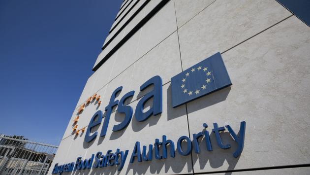 Ok dell'Efsa alle tarme della farina essiccate come alimento 