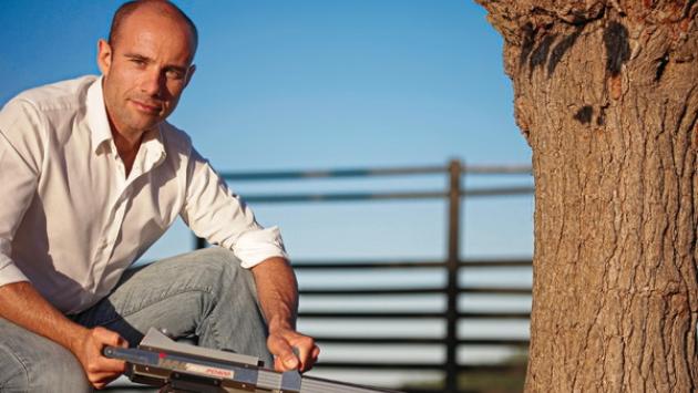 L'esperto: «Gli alberi che cadono spesso sono malati»