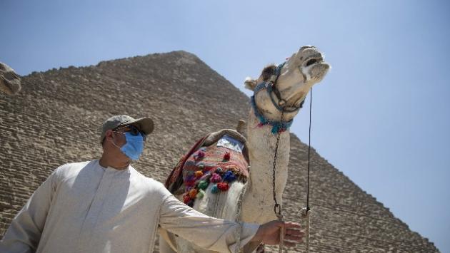 Cucina torte osè: pasticciera del Cairo arrestata