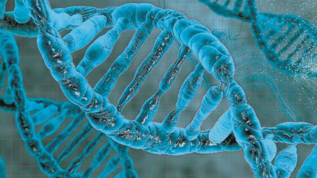 Una proteina del sangue legata al rischio di cancro e infarto