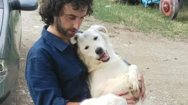 Bocconi killer, cane salvato dal padrone