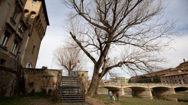 A spasso nel greto del torrente: sorprese senza fine