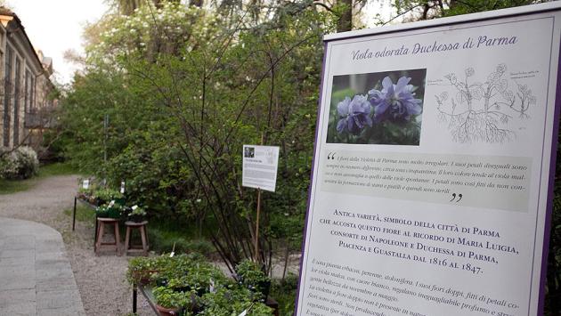 L'Orto Botanico riapre al pubblico in sicurezza, con novità e nuove prospettive