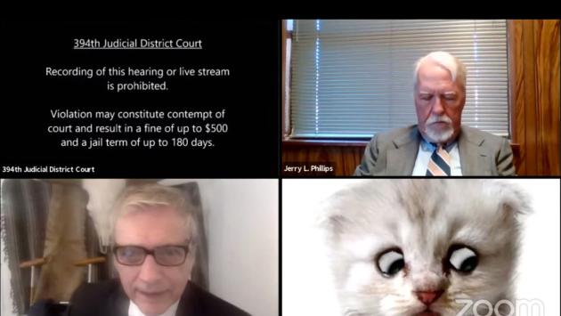 Avvocato in udienza con Zoom: "Non sono un gatto"