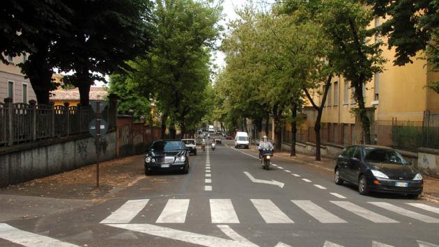 Nuovi alberi di pero  in via Gorizia, sostituiranno quelli abbattuti perché malati e pericolosi 