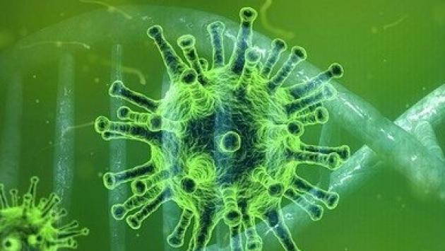 Oltre 100 nuovi contagi (102) a Parma e in provincia. 2 decessi e 7 pazienti in terapia intensiva