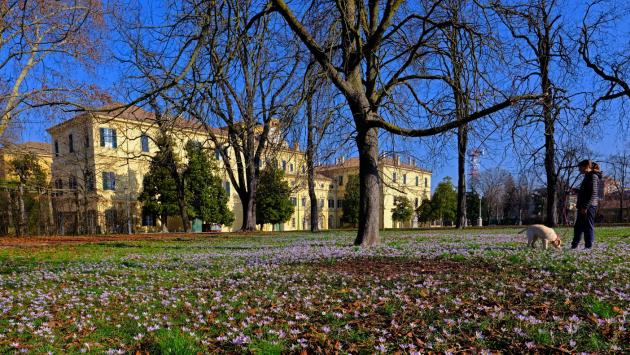 Fiori d'inverno