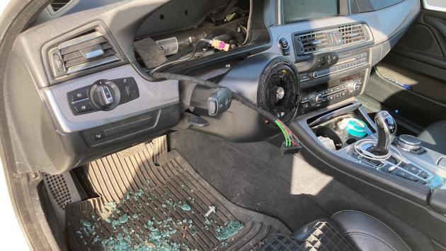 Topi d'auto rubano i fanali e il volante