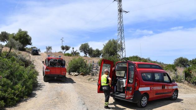 Identificati 38 alberi da abbattere 