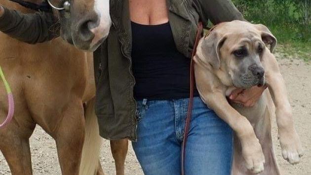 Gli animali, la poesia, la pittura: addio alla veterinaria Barbara Pizzi