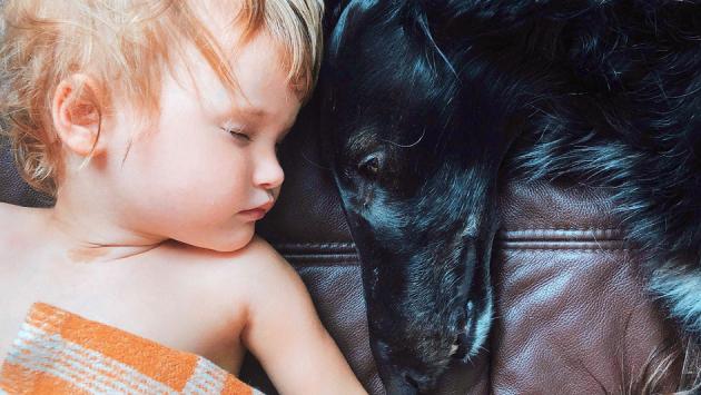 La compagnia  di un pet migliora il sonno dei bimbi in lockdown