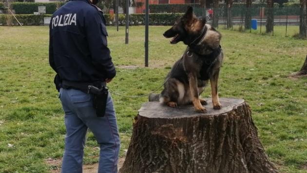  Sorbolo, Colorno, Torrile, Langhirano e Traversetolo: controllate 80 persone, una sola multata