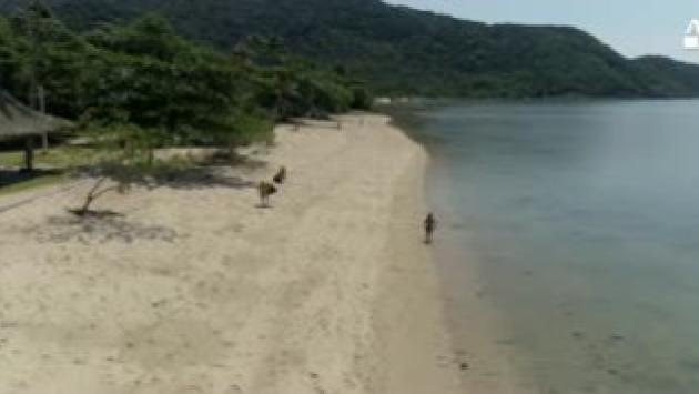 Sulle spiagge 2.000 tonnellate di microplastiche