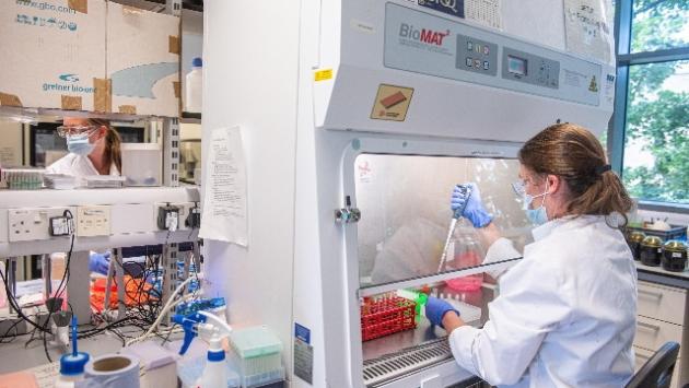 Sperimentazione Usa su Astrazeneca: il vaccino è sicuro 