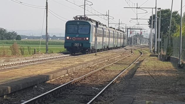 Otto gatti morti folgorati sulla linea ferroviaria della Fidenza-Cremona