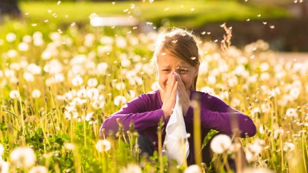 Fiori,  non solo gioie Le allergie primaverili