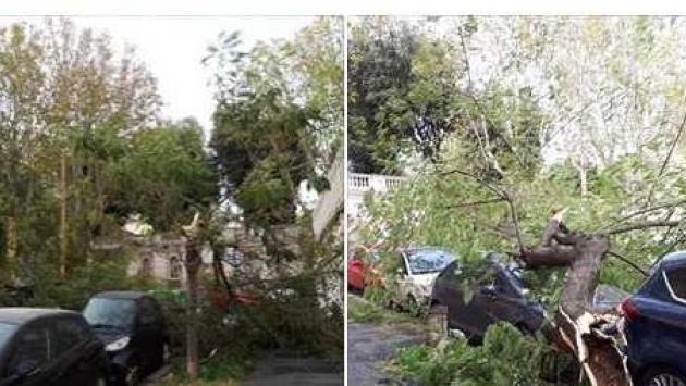 Forte vento sulla capitale: Parma "piange" anche a Roma