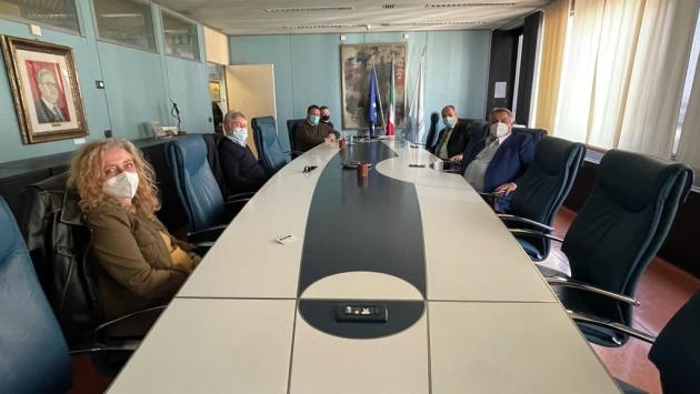 Riunione in Regione sulle Zebre, Rainieri: "Fondamentale farle restare a Parma"